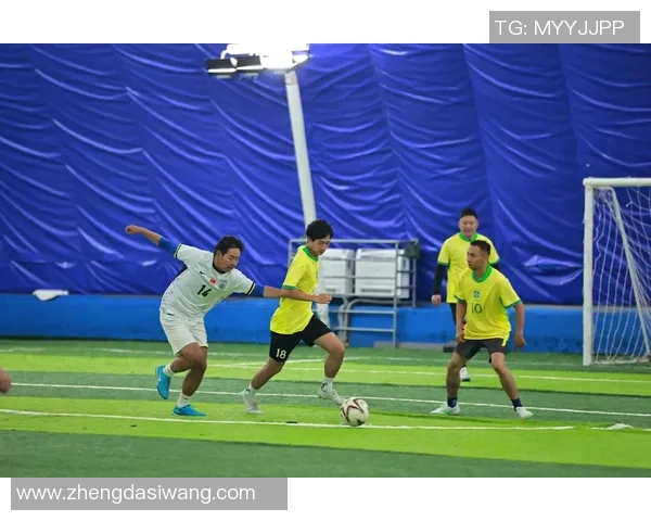 东北女人幽默调侃足球明星展现独特魅力与智慧的精彩瞬间